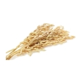 owies ziele 250g Zielnik Jagi - Kopia.jpg