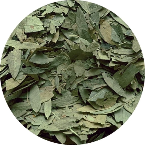 liść senesu senes 500g Zielnik Jagi.jpg