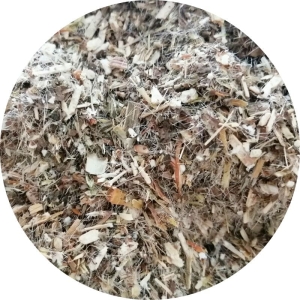 Czarcie żebro ziele (ostrożeń warzywny) 500g