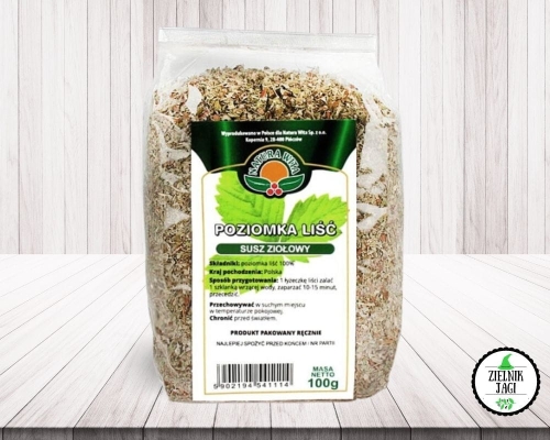 Liść poziomki 100g Natura Wita.jpg