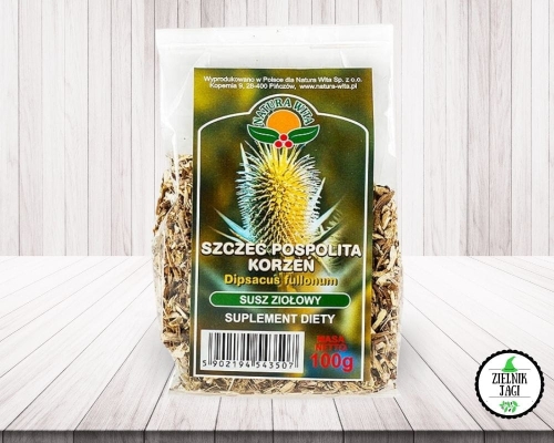Szczeć pospolita korzeń 100g  Natura Wita.jpg