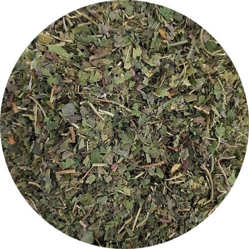 morwa biała liść Zielnik Jagi.jpg