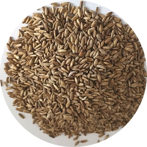 Ostropest plamisty nasiona 