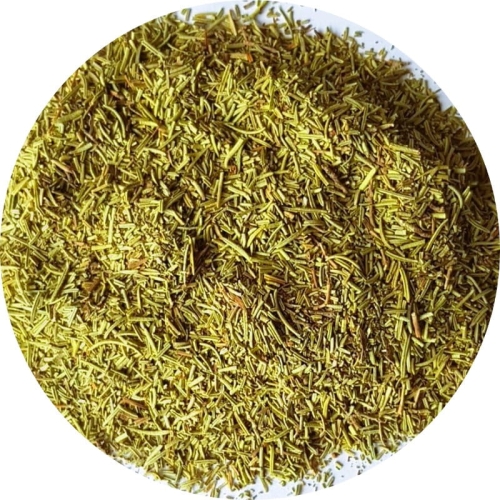 Rozmarynliść Zielnik Jagi.jpg