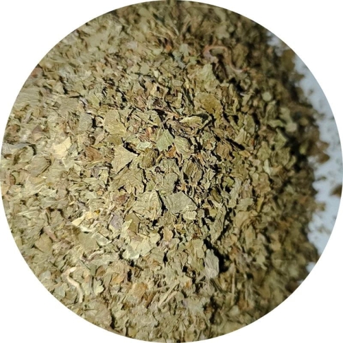 Gotu kola ziele (wąkrotka azjatycka) Zielnik Jagi.jpg