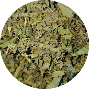 Werbena cytrynowa liść