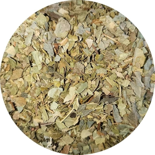 eukaliptus liść krojony.jpg