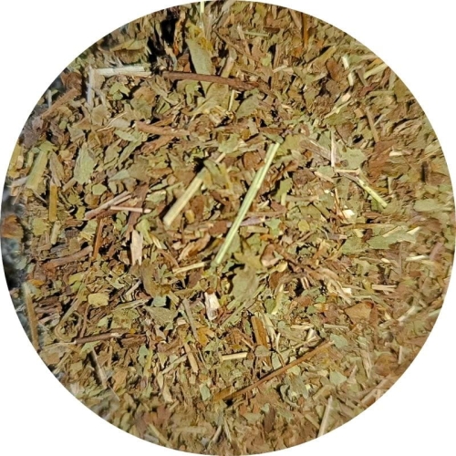 przetacznik ziele Zielnik Jagi.jpg