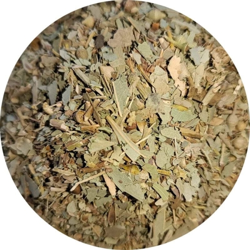 boldo liść Zielnik Jagi.jpg