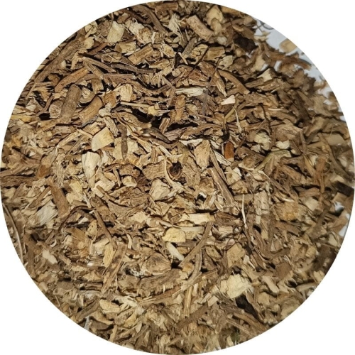 ruszczyk kolczasty kłącze cięte Zielnik Jagi.jpg