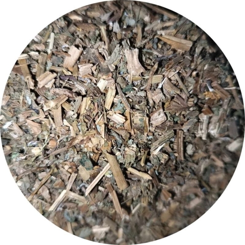 bylica pospolita ziele Zielnik Jagi.jpg