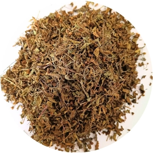 Tulsi ziele - święta bazylia -Zielnik Jagi.jpg