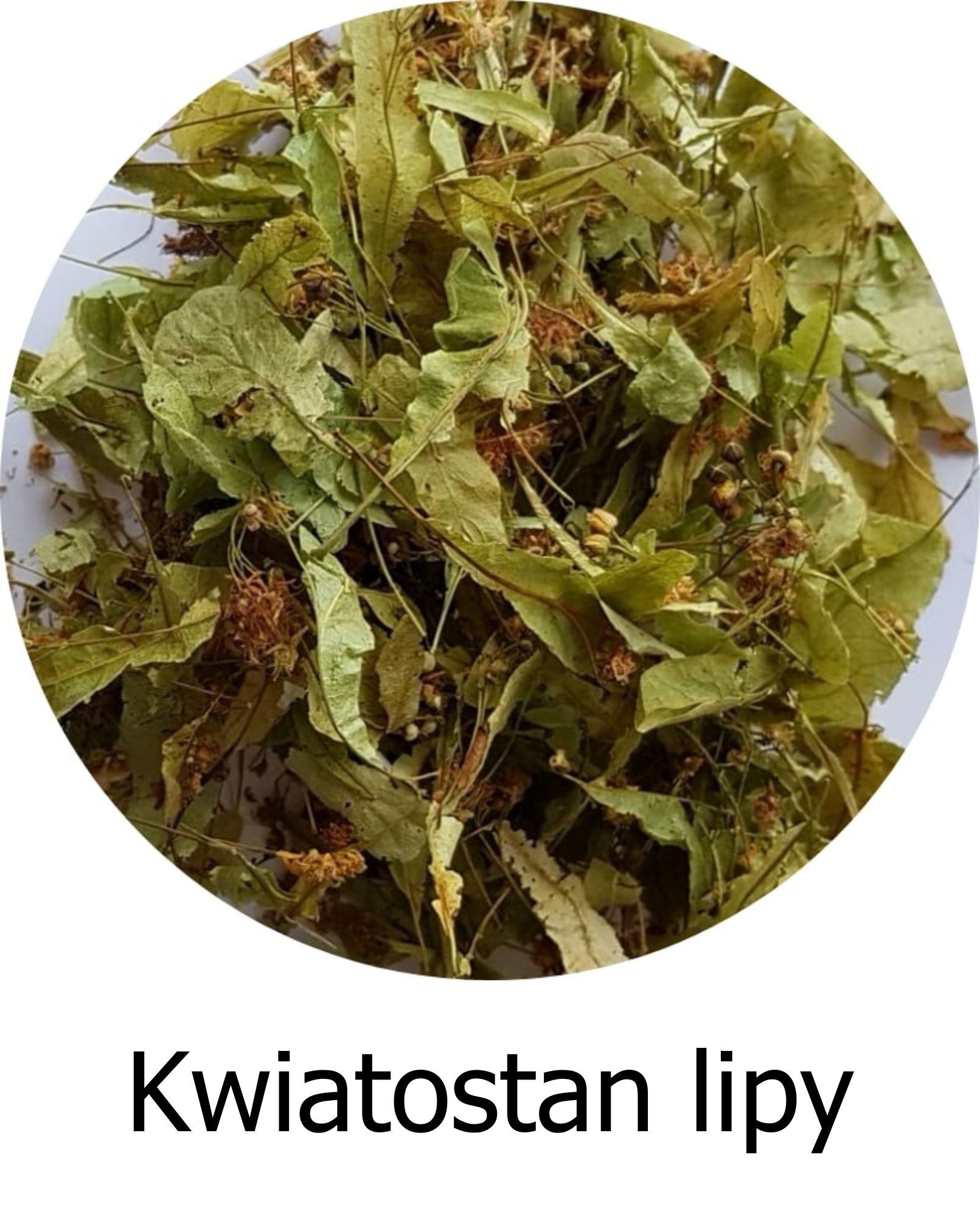 Zbliżenie na suszony kwiatostan lipy (Tiliae flos) z widocznymi podsadkami i drobnymi kwiatami, stosowany w ziołolecznictwie jako surowiec napotny i uspokajający