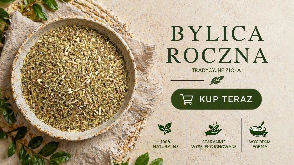bylica roczna ziele