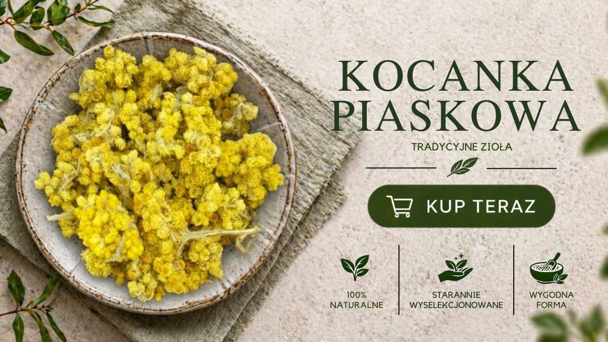 kocanka piaskowa kwiat