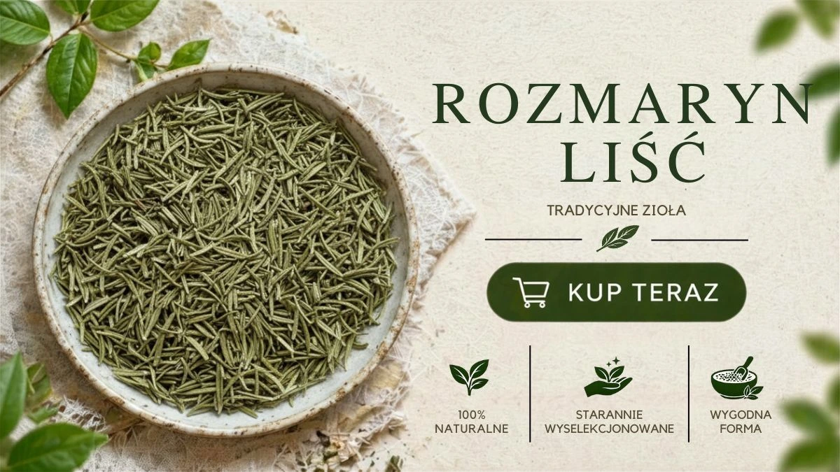 rozmaryn liść